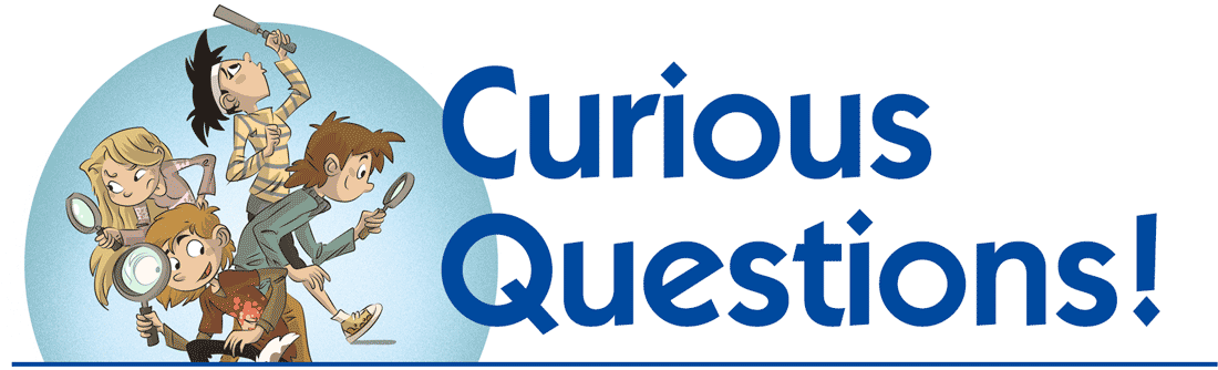 Curious Questions Contest Cover Story Language Arts